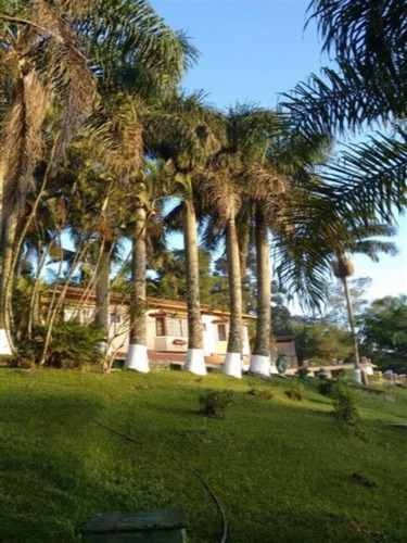Imagem 5 de 20 de Sítio A Venda Jardim Cardoso (mailasqui), São Roque - V4089 - 32629157