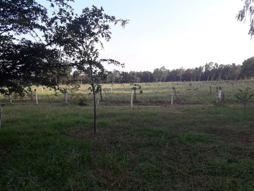 Imagen 3 de 27 de Finca En Venta En La Raya San Timoteo, Zulia
