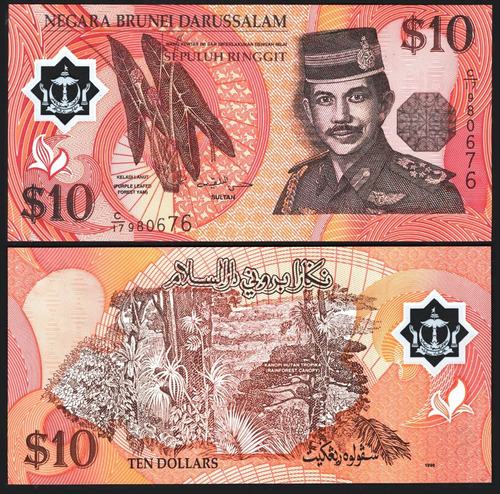 Brunei Billete De 10 Dólares Año 1998 Sin Circular Polímero