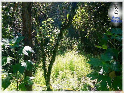 Imagem 4 de 5 de Sitio Em Mairiporã - Al121