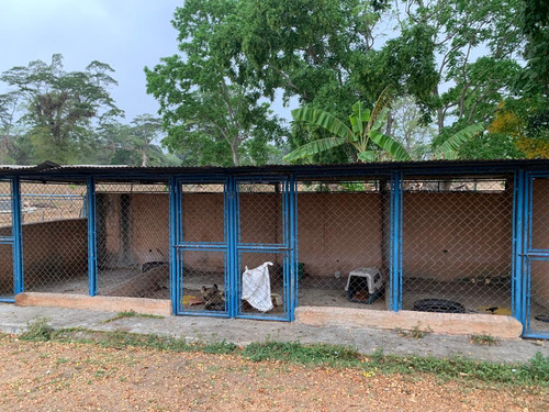 Vendo Hermosa Hacienda Ubicada En San Felipe Edo. Yaracuy Yb