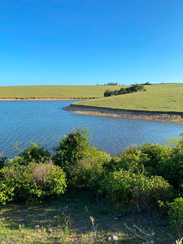 Chacra 18 Hectáreas Sobre Asfalto Camino A Garzon Con Lago