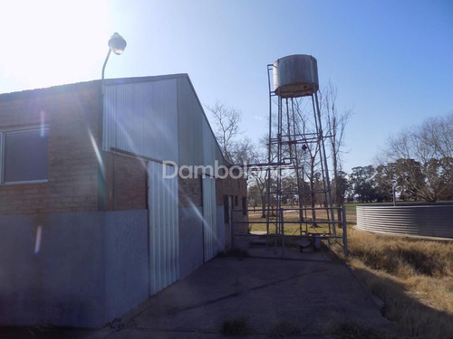 Imagen 15 de 27 de Terreno Campo En Venta En Carmen De Areco, Resto De La Provincia, Buenos Aires