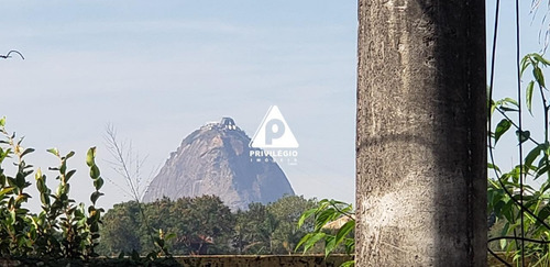 Casa À Venda Em Laranjeiras - 6 Quartos - 9 Banheiros -piscina-sauna-churrasqueira- 582 M2 - 26212