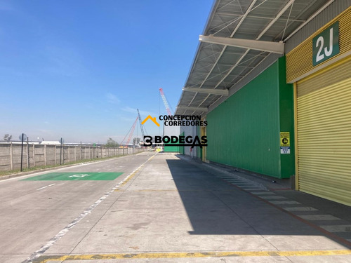 Arriendo Bodega De 1616 M2 En Pi Lo Boza.