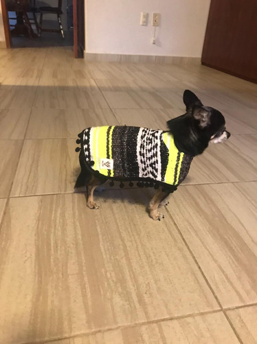 Corrida De Jorongo Para Mascotas (mayoreo) 12 Piezas