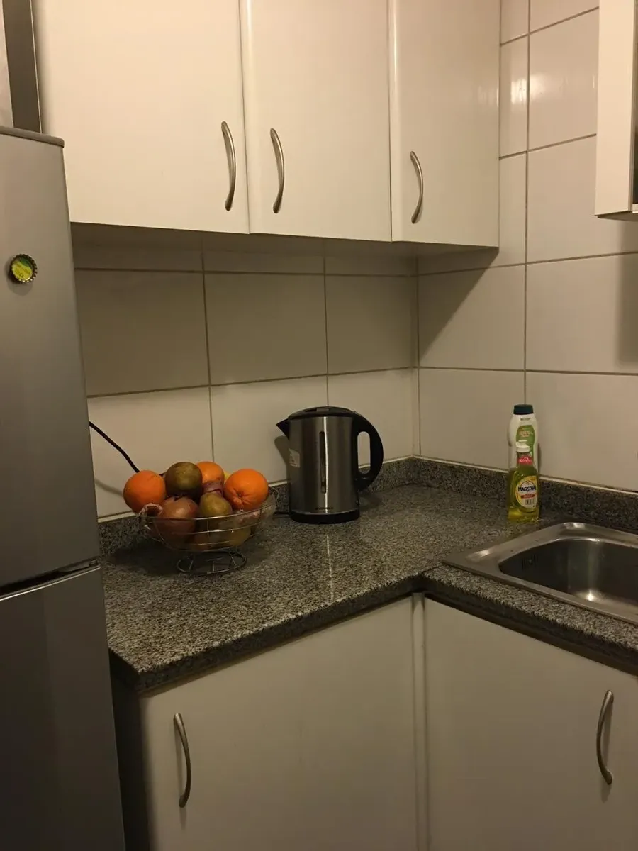 Imagen 2 de 14 de Amplio Departamento 1 Dormitorio A Pasos Del Metro Ñuñoa