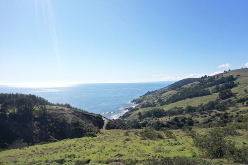 Vista De Primera Línea, Costa Vichuquén