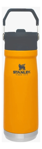 Botella Caramañola Termica Stanley Flip Straw 650ml C/asa 