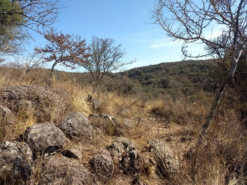 Imagen 8 de 17 de Campo De 100 Hectareas Con Casa En Tulumba, Provincia De Cordoba