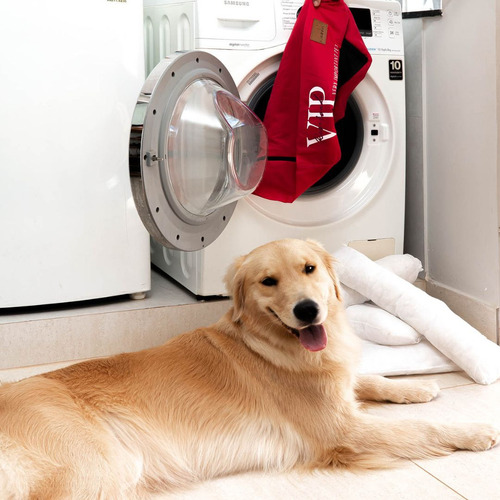 Cama Kaminha Pet Sarja Cachorro Gato Pequena Lavável Caqui Desenho Liso