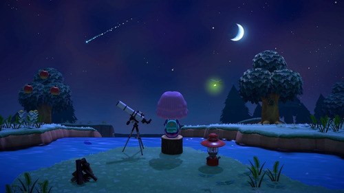 Animal Crossing New Horizons Switch Mídia Física