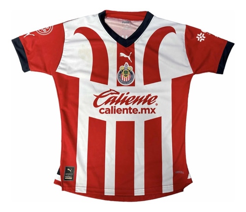 Camisa/jersey Versión Jugador De Las Chivas Puma 2023-2024