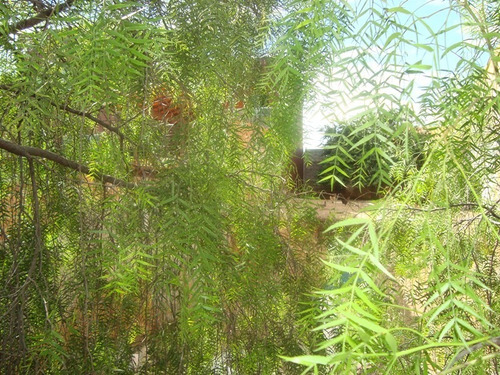 Imagem 7 de 8 de Lote Para Comprar No Jardim Vitória Em Belo Horizonte/mg - 116