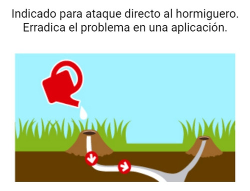 Imagen 2 de 6 de Hormiguicida Hortal® Líquido 500 Cc Insecticida Mata Hormiga
