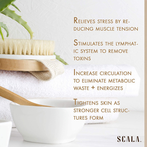 Cepillo Corporal Dry Body Brush Scala Natural Bristle