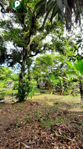 Imagem 7 de 25 de Ótimo Terreno Com 1.150,00 M² No Jardim Candairó - Cananéia - Litoral Sul De Sp - Te00087 - 70424942