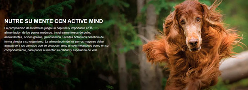Pro Plan Optiage Active Mind Perro Senior Raza Pequeña 7.5kg