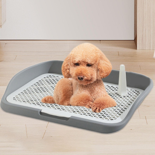 Inodoro Para Perros, Orinal Para Perros, Valla Mediana Gris
