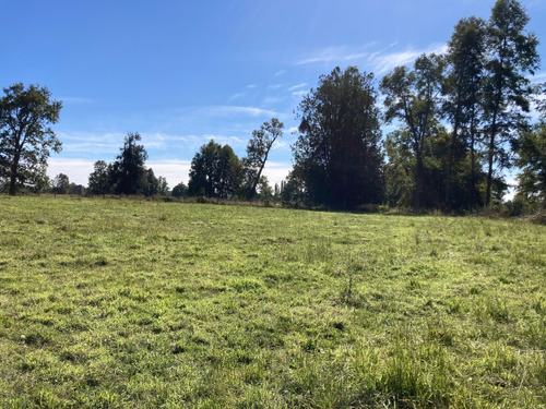 Terreno 0,5 Has (5000 Mts2 ) Rio Bueno Condominio Lago Ranco