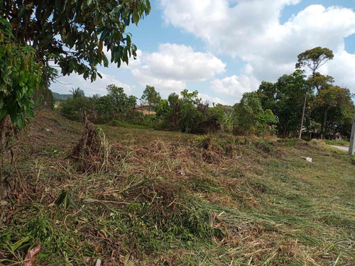 Imagem 3 de 3 de Terreno De Esquina Galpão E Germinados