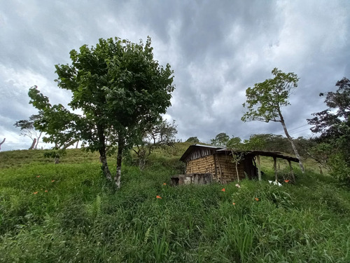 Venta De Finca Colorado Bajo Moniquira