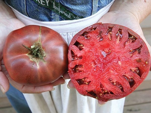 Semillas De Tomate Cherokee Morado Envío A Todo Chile
