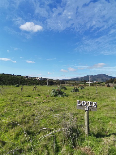 Parcela En Venta En Concón 1200m2 60millones