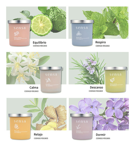 Difusor De Aromas 100 Ml Variedad Linea Sensa Zheng