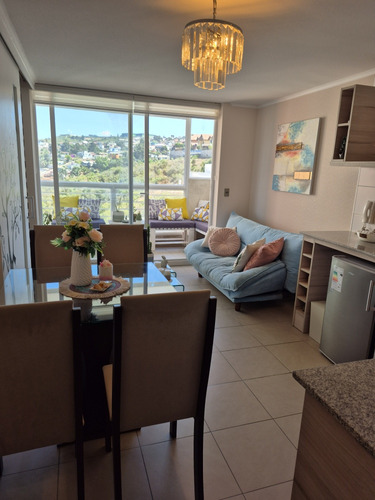 Depto 1d1b Con O Sin Muebles Altos De Viña Iii