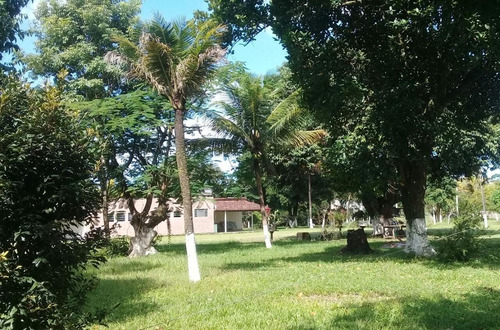 Granja 10.000m2 Ótima Para Loteamento Alto Padrão, Guabiraba, Aceito Imóvel Ou Carro - Ch00013 - 67721771