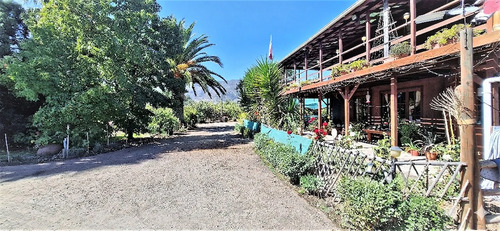 Venta De Parcela De 20.000 M2, Hermosa Y Productiva, En El M