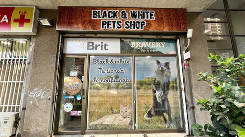  Venta Derecho De Llaves Tienda De Mascotas Pets Shop 