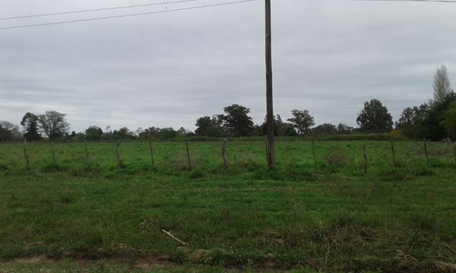 Imagen 4 de 9 de Loteo El Prado / Hermosos Terrenos En Gualeguay