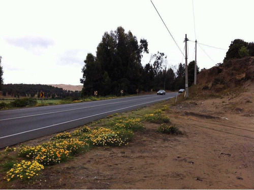 Ruta F 30 Concon_quintero S / N