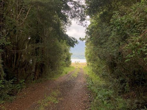Imagen 10 de 16 de Sitio En Venta En Puerto Octay