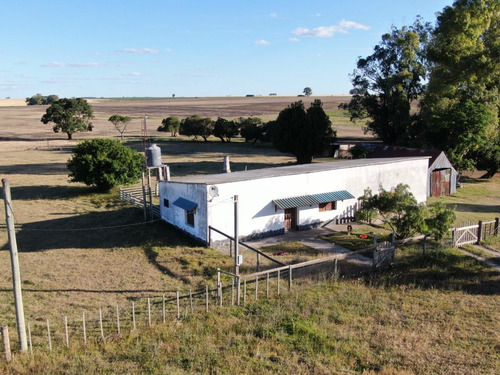 Chacra En Venta En Flores Sobre Ruta 57