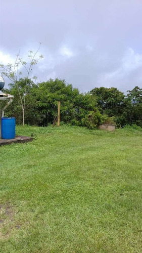 Imagen 4 de 14 de Venta Finca 67 Hectáreas Nigua Yaracuy Oportunidad Cod. 8973