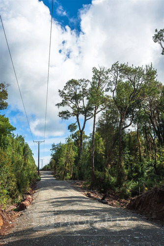 Parcela 8000 M2 En Lago Huillinco, Chiloe. Región Los Lagos