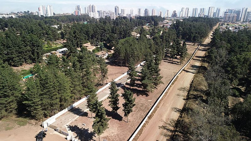 Se Venden 2 Lotes En Condominio Barrio Los Pinos