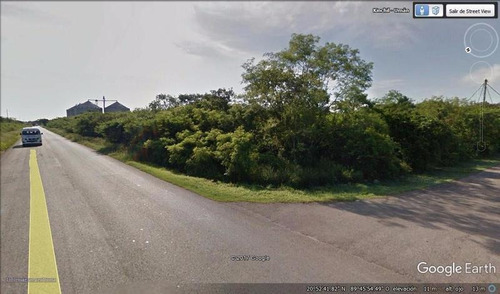 Imagen 4 de 8 de Muy Bien Ubicado Terreno De 3.4 Has En La Carretera Umán-kinchil, Yuc.