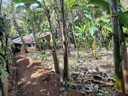 Imagen 5 de 14 de Se Vende Terreno Con 2 Apartamentos