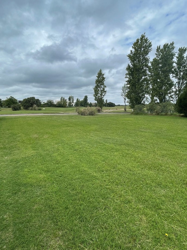 Imagen 15 de 15 de Lote En Venta En El Golf, Nordelta, G.b.a. Zona Norte
