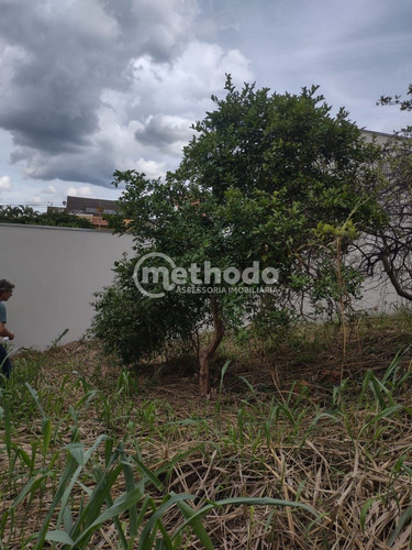 Terreno - Te00215 - 68207516