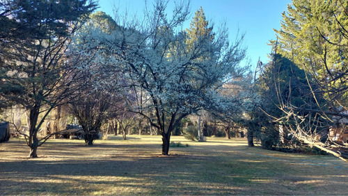 Casa De Campo Y Parque. Lugar Único En Tafí Del Valle