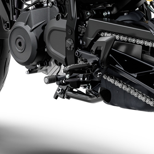 Ktm 250 Duke 2024