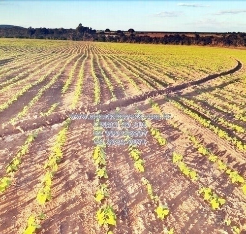 Fazenda Para Venda, Paracatu-mg - 6208