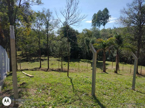 Imagem 2 de 12 de Vendo Chácara Em Colombo Roseira Lindas