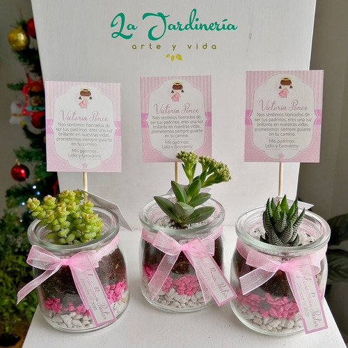 Imagen 4 de 10 de Recuerdos Souvenirs Plantas Vivas Terrarios