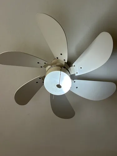 Ventilador (Usado)